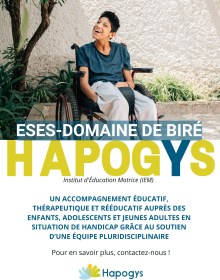 Flyer ESES